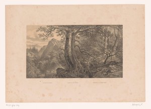 Dois caçadores em uma floresta nos Pirineus Caça nos Pirinéus / Caça nos Pirinéus / Cazadores de los Pirinéos (España) (título no objeto) Figuras em uma paisagem (título da série) de Fortuné Ferogio
