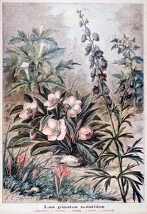 Plantas prejudiciais, 1897 de Fortuné Méaulle