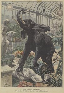 Dois elefantes enfurecidos no tumulto em Londres de Fortune Louis Meaulle