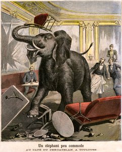 Um elefante desconfortável: o pachiderm foge de um circo menagerie quebra tudo no café do Pré-Catelan em Toulouse. Gravura de Meaulle e Meyer na última capa do suplemento PETIT JOURNAL ilustrado n 51 de 14 de Novembro de Fortune Louis and Meyer Henri  Meaulle