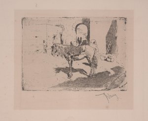 Cavalo de marrocos
