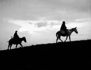 Regresso ao país dos campos