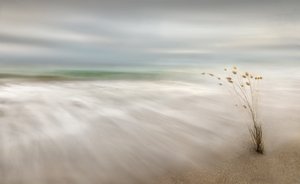 O balanço sereno da costa de Fran Osuna