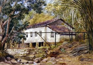 Índias Ocidentais Britânicas (aguarela sobre papel) de Frances C. Fairman