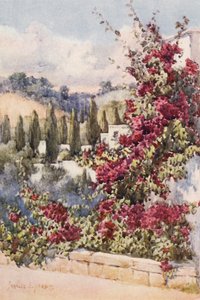 Na minha varanda, Argel (litografia a cores) de Frances Nesbitt