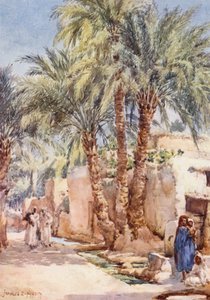 The Palm Village (litografia a cores) de Frances Nesbitt