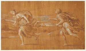 Apollon verfolgt Daphne de Francesco Albani