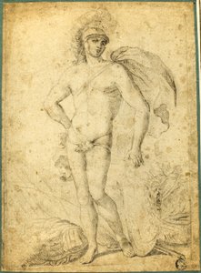 Guerreiro nu em pé, possivelmente Marte, com escudo de Francesco Albani