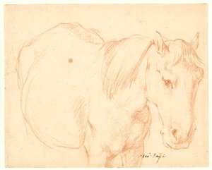 Um cavalo de Francesco Fernandi
