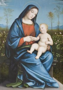 Madona e Menino no roseiral, Raibolini Francesco chamado Francesco Francia (óleo sobre painel)