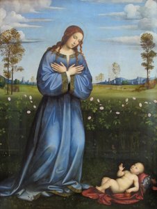 Madona no caramanchão de rosas de Francesco Francia