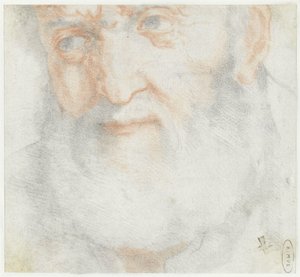 Cabeça de um velho com barba de Francesco Furini (attributed to)
