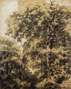 Floresta de Fontainebleau de Francesco Gamba