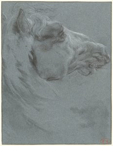 Cabeça de um cavalo de Francesco Giuseppe Casanova