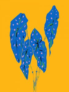  de Francesco Gulina