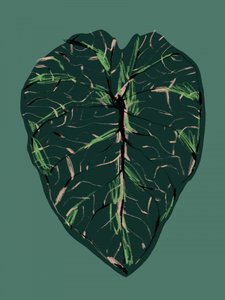  de Francesco Gulina