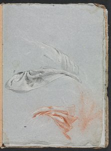 Verona Sketchbook: estudos de cortinas (página 17)