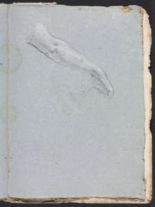 Caderno de desenho de Verona: Braço e mão direita, página 95, 1760. de Francesco Lorenzi