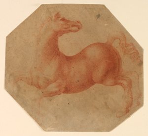 Estudo de um cavalo de criação após Leonardo da Vinci
