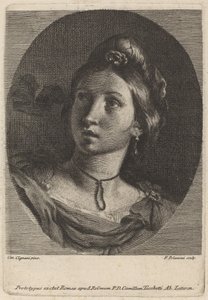 Cabeça de uma jovem de Francesco Polanzani after Carlo Cignani