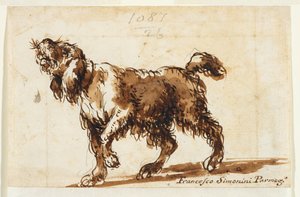 Uivo de cão (frente), c.1700-50 (giz preto, caneta e tinta castanha, lavagem castanha, grafite sobre papel vegetal)