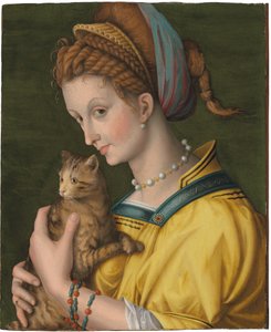 Retrato, jovem, senhora, segurando, gato