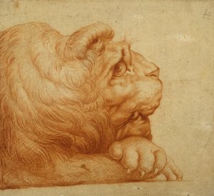 Uma cabeça de leão de perfil (giz vermelho sobre papel branco) de Francesco de Rossi Salviati Cecchino