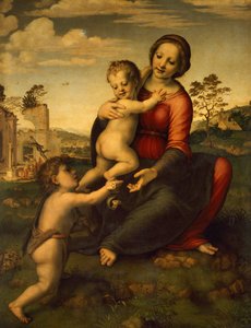 Nossa Senhora do poço, cerca de 1517, por Franciabigio (1482-1525), tempera sobre madeira