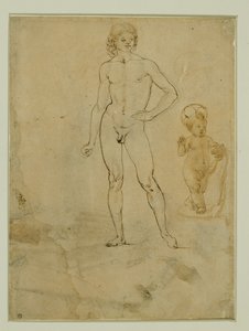 Um jovem nu, de pé; o Menino Jesus; retrato feminino virado para a direita ...