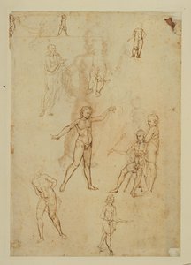 Estudos de figuras. Caneta e tinta castanha, bico de metal Papel cor-de-rosa ... de Francesco di Simone (attr. to)