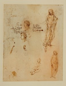 Três perfis; orelhas; dois Apolos ... de Francesco di Simone (attr. to)