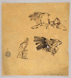 Estudos de asas de Francis Augustus Lathrop
