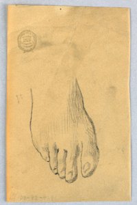 Estudo do pé direito de Francis Augustus Lathrop