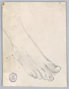 Estudo do pé direito de Francis Augustus Lathrop