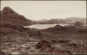 Arthog, Lago Creigene de Francis Bedford