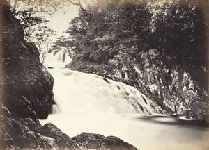  de Francis Bedford