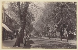 Cheltenham, o Passeio, 186094. de Francis Bedford