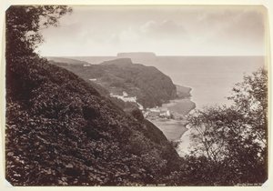 Floresta. de Francis Bedford