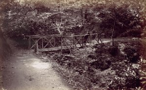 Baía de Colwyn. Ponte Rústica na Madeira, década de 1870. de Francis Bedford