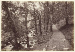 Dolgelley, vista em Torrent Walk de Francis Bedford