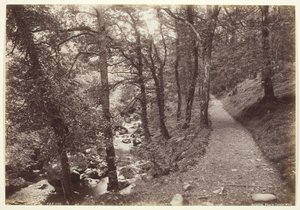 Dolgelley, Vista em Torrent Walk, 186094.