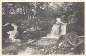 Glen Lyn, a ponte rústica, 186094. de Francis Bedford