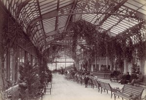 Ilfracombe, O Passeio Vitoriano, década de 1870. de Francis Bedford
