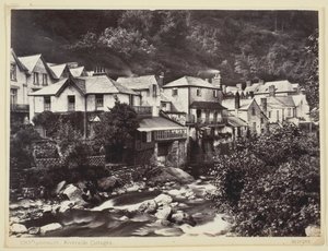 Floresta. de Francis Bedford