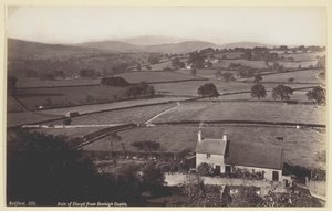 Floresta. de Francis Bedford
