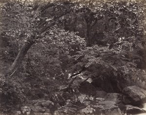 Glen em Lynmouth de Francis Bedford, Francis Frith