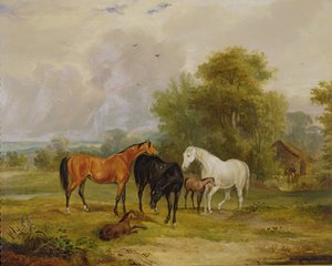 Cavalos pastando: éguas e potros em um campo