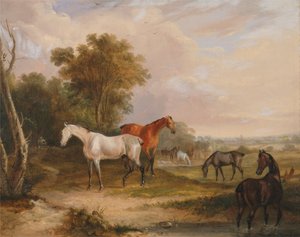 Cavalos a pastar: um garanhão cinzento a pastar com éguas num prado de Francis Calcraft Turner