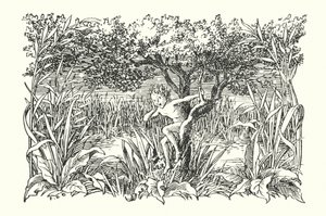 Merrie England: Robin Goodfellow (litografia) de Francis Donkin Bedford
