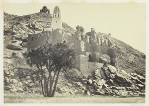 Doum Palm e Mesquita Arruinada, Philæ de Francis Frith